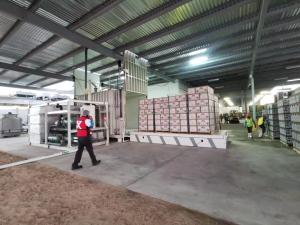 Quality Fresh vegetable/mushrooms/flowers vacuum cooling machine(1-24pallets) wholesale