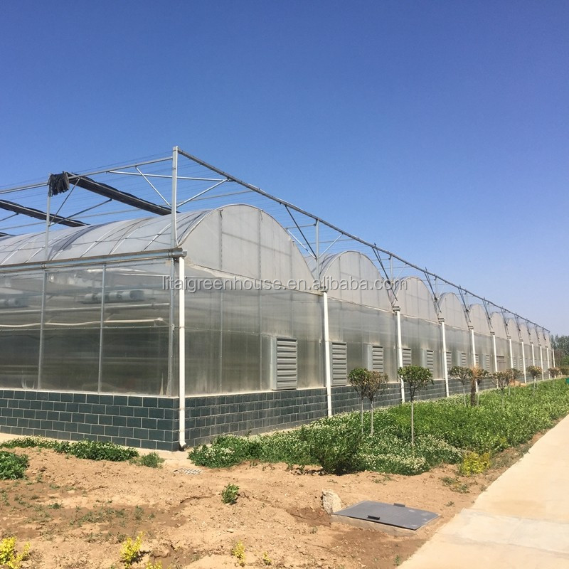Multi Span Agriculture Greenhouse Height 3m Customized Length 50m