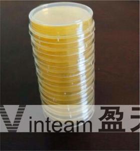 Quality Yellow Petri Dish Tray Size 90mm Low Temperature Store Three Layer Packaging wholesale