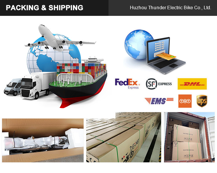 Max Speed 30-50Km/h Disc Brake Electric Fat Tire Bike 48V 400W Motor Ebike