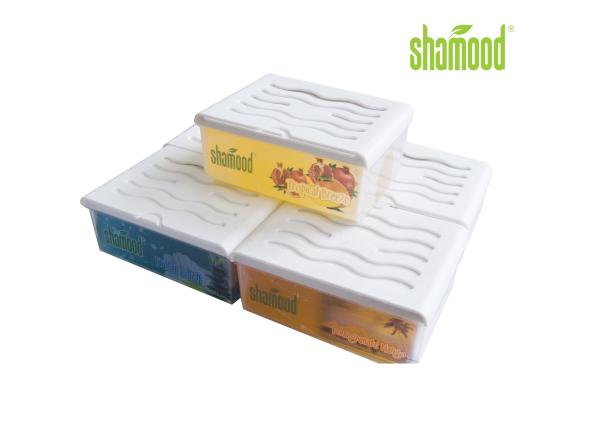 Dual Home Gel Household Air Freshener Pina Peach Mango Orange Vanilla Cappuccino