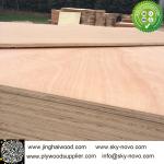 rotary sapele veneer furniture plywood