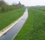 Geocomposite Vegetation Coconut Fiber Mat Reinforced By Nonwoven And Geogrid