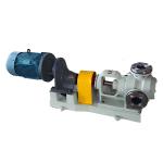 NYP Inner Ring High Viscosity Pump Stainless Steel Carbon / Ceramic Seal
