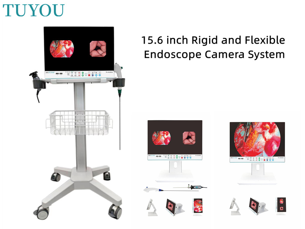 Cold Light Source Endoscope Camera for Surgical in ENT Dental and Nasal Procedures