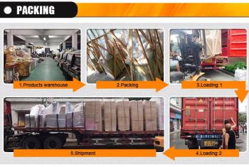 Guangzhou Chilong Electronic Co., Ltd.