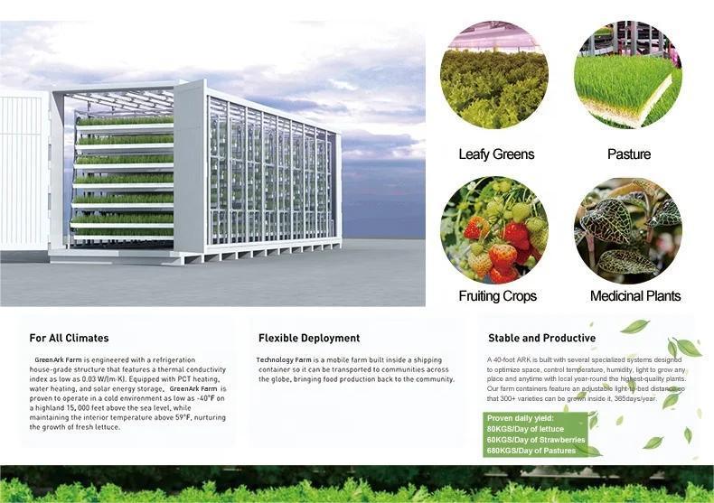 Smart and High Quantity Hydroponic System Container Farm for Sale