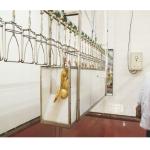 SS 304 Poultry Defeathering Equipment Halal Automatic Chicken Slaughtering