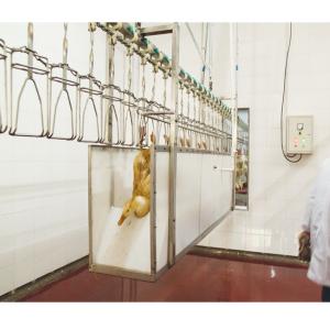 Quality stainless steel Poultry Slaughterhouse Equipment automatic For Meat Processing wholesale