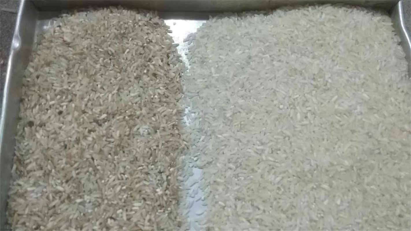 High Capacity 5 Chutes 320 Channels 5400 CCD AI Rice Color Sorter
