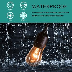 Quality 48ft Commercial Grade LED String Lights wholesale