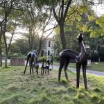 Sika Deer Casting Bronze Garden Statues Outdoor Decoration 80cm - 160cm