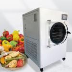 Household Stainless Steel 0.6m2 Food Vacuum Freeze Dryer 220V/50Hz