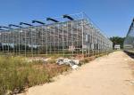 Integrated Tunnel Polycarbonate Agricultural Greenhouse
