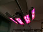 150W Round & rectangle grow light led plant grow light led grow lights, led grow