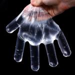 Disposable Plastic/PE Gloves