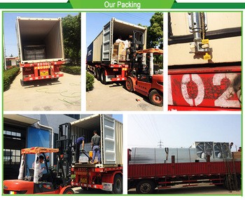 Customized Multi-span Vegetable Grow Tunnel Greenhouse for Vegetable Cultivation