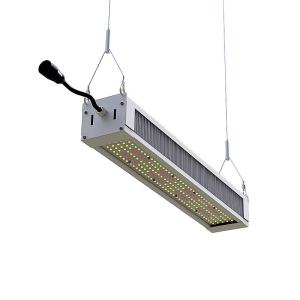 Quality 300W Commercial LED Flood Lights wholesale