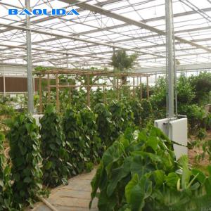 Quality Industrial Multi Span Greenhouse / Pe Film Greenhouse Sheet Covering wholesale