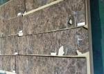 Natural Sliced Walnut Burl Wood Veneer Black Sheet Top Grade