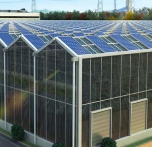 Quality Commercial Photovoltaic Greenhouse with Film Cover Material and Unheated Heating wholesale