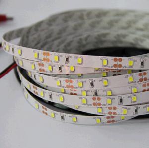Quality DC12/24V 14.4W/M SMD2835 led light strip / christmas led strip light outdoor use wholesale