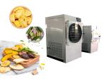 Electric Heating Small Home Freeze Dryer SUS304 For Fruit And Vegetable