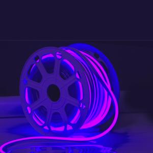 Quality RGBW 12V LED Silicone Neon Strips Color Changing For Wedding wholesale