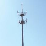 Professional Telecommunications Towers , Disguised Pine Tree Tower