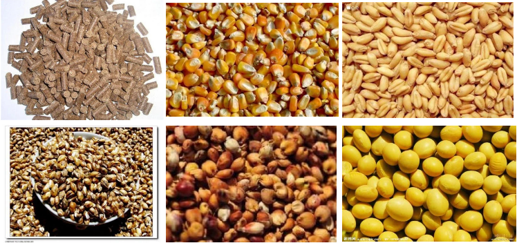 Single Hopper 50kg/Bag Chicken Feed Pellet Packing Machine