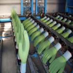 Small Nitrile Glove Manufacturing Machine Rubber Latex Surgical Glove Production