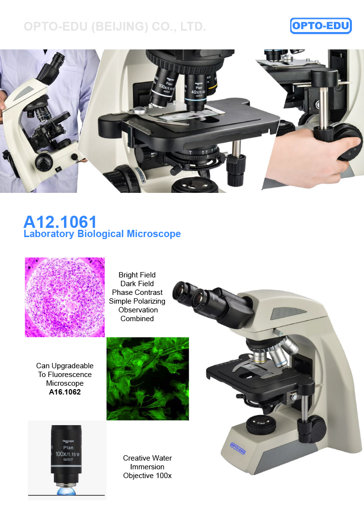 Opto-Edu A12.1061 Abbe Condenser Binocular 22mm Laboratory Biological Microscope