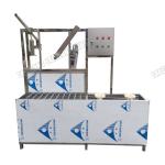 Manual 220V Washing Capping Pet Bottle Filling Machine