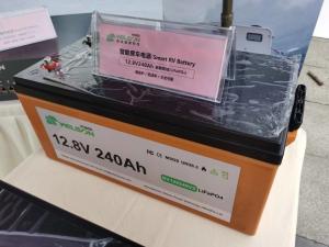 Quality WelsonPower House Rechargeable Lifepo4 Battery 300ah 12 Volt Battery Deep Cycle Rv Lithium Caravan wholesale