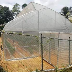 Quality Width 10m 8m Tunnel Plastic Sawtooth Top Vent Greenhouse For Strawberry Growing wholesale