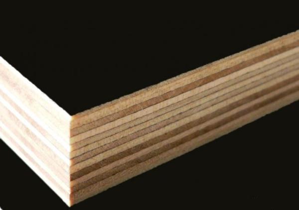 Hot Sale Plywood For Construction Materials Prices , China Hot Film Faced