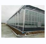 Super Strong Resistance Venlo Glass Greenhouse for Commercial Agricultural