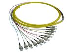 Simplex Fiber Optic Pigtail