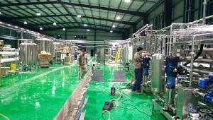 Quality 3tons/Day 440V SS304 Food Grade Pineapple Processing Line wholesale