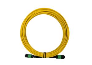 China 12 Core APC SM 20m MTP MPO Patch Cord  9 / 125 Single mode LSZH Female to Female on sale