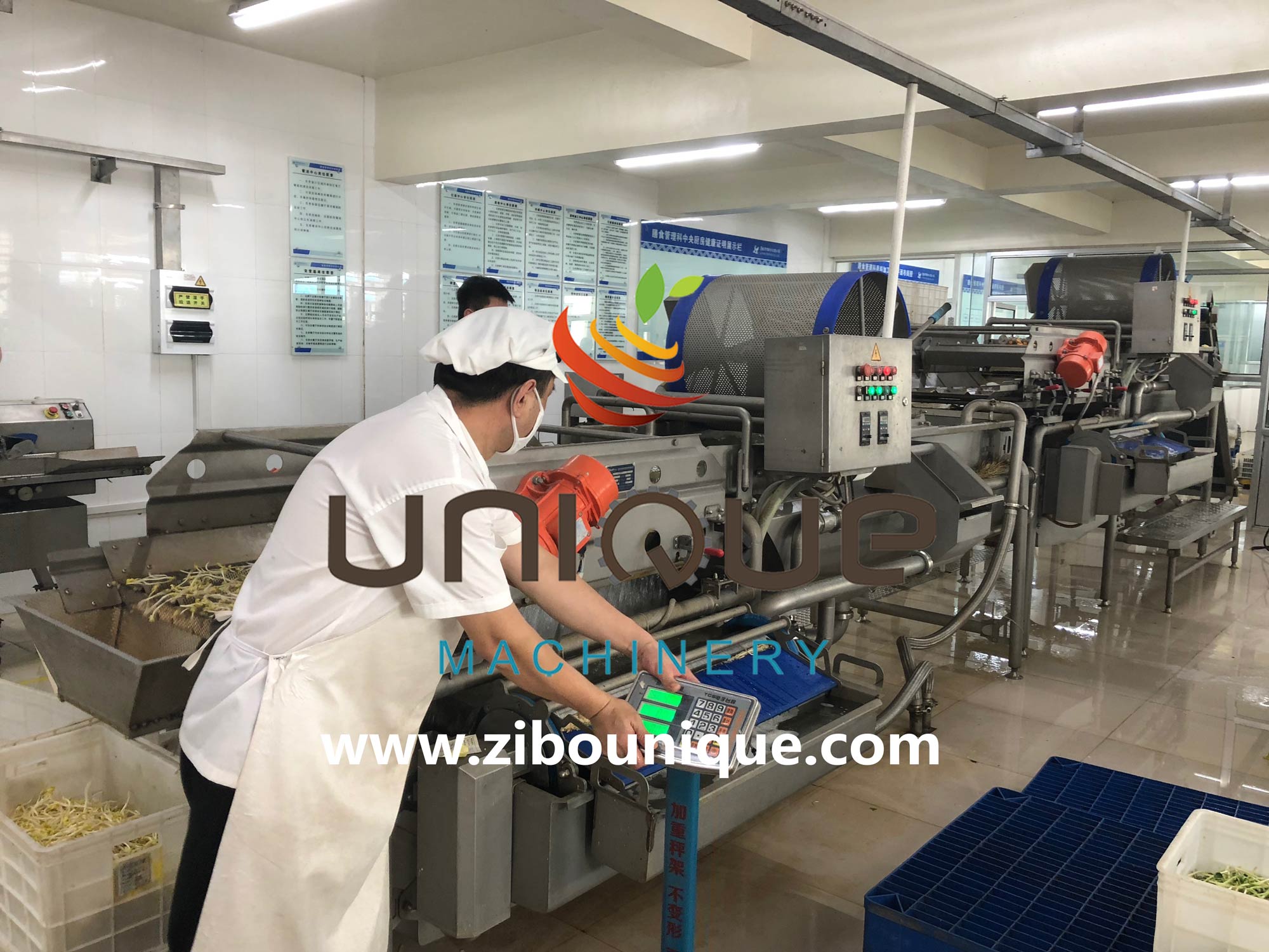 Stainless Steel 304 Automatic Electric Potato Cutter Machine for Onion Slicing Needs