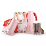 Custom Printed Ribbon Handle Craft Gift Jewelry Paper Bag
