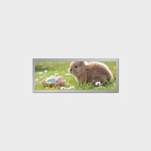 Quality Product Catalog of Bar Type LCD Display wholesale