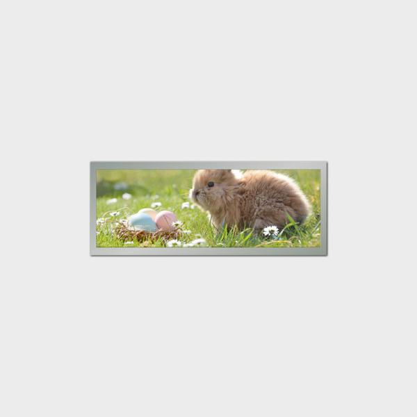Bar Type 9 Inch LCD Display Screen 1280*448 LVDS 500nits For Public Transportati