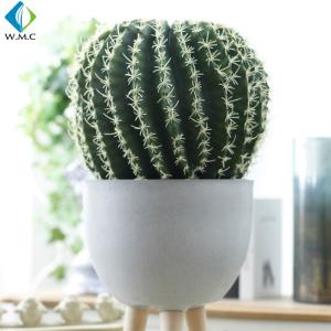 Quality Home Decor Artificial Green Plants , Customized Ball Cactus Plant wholesale
