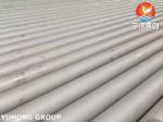 ASME SA213 TP321 Stainless Steel Seamless Tube For Boiler High Temperature