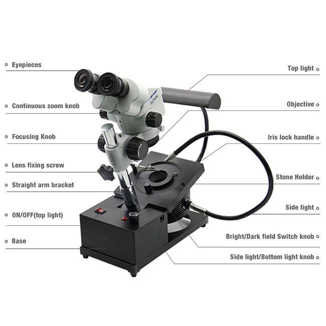 Jewelry Fable Swing Arm 7.0X Binocular Gem Microscope 95mm Distance