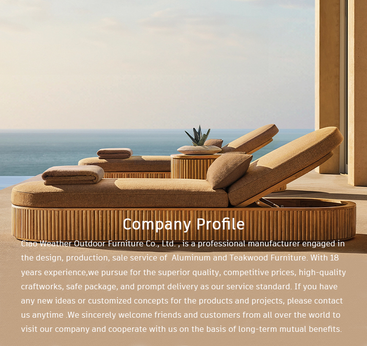 Customized Color Sun Lounger for Outdoor Garden Furniture in Hotel Beach Luxury Terrace