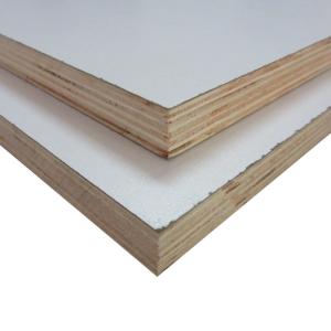 Quality High Gloss 20mm White Faced Plywood For Furniture wholesale