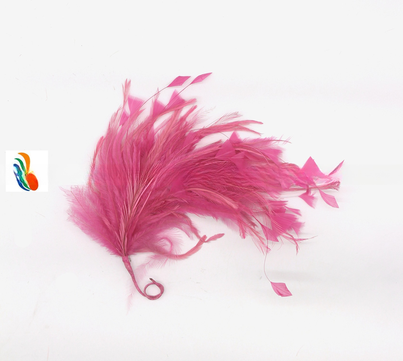 Create a Spooky Atmosphere with 15*30 cm Emu Feather Flower Mount and Wire Accessory